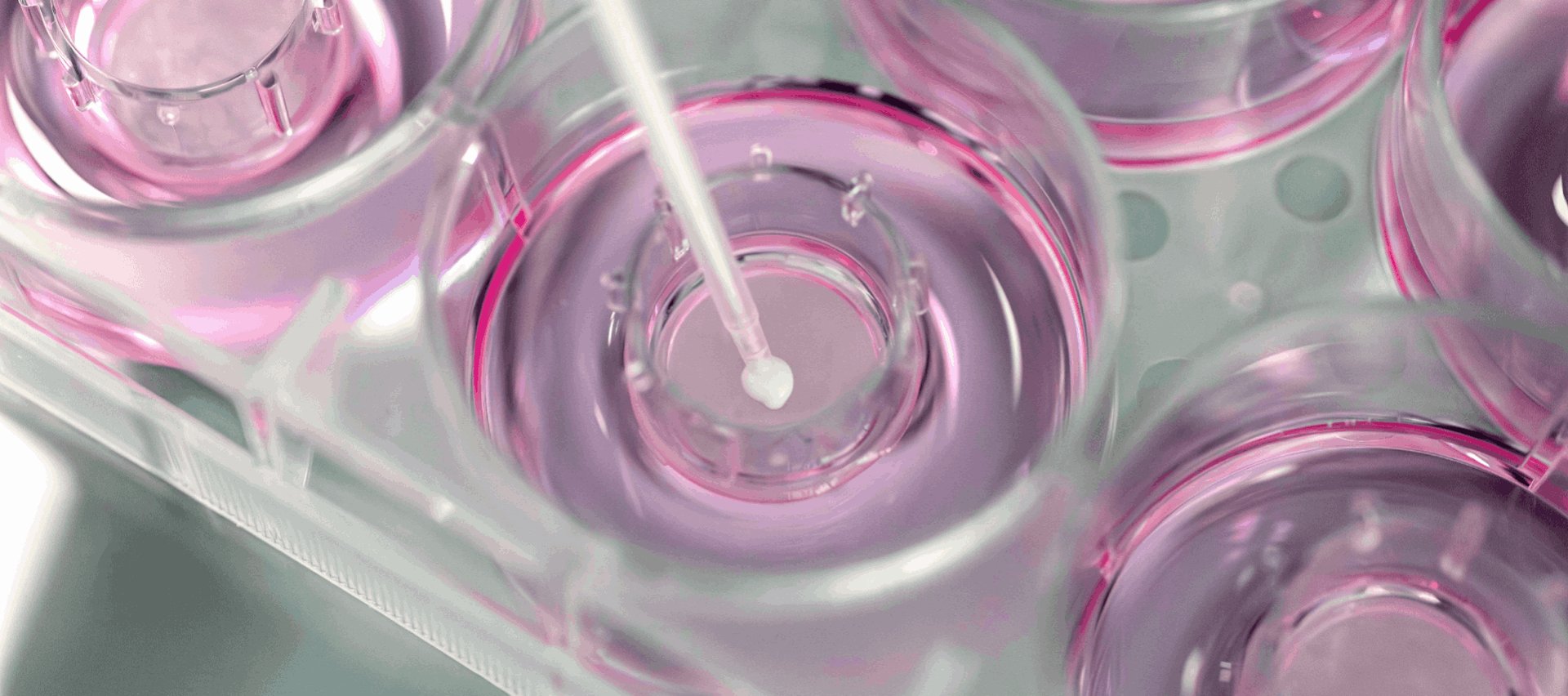 EPISKIN Hero2 Desktop