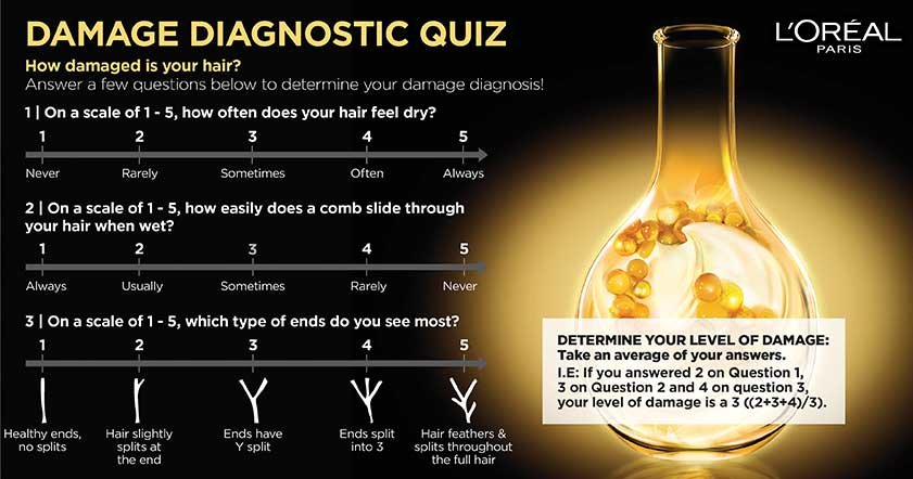 Loreal Paris BMAG Slideshow How Damaged Is Your Hair SLIDE 2 D