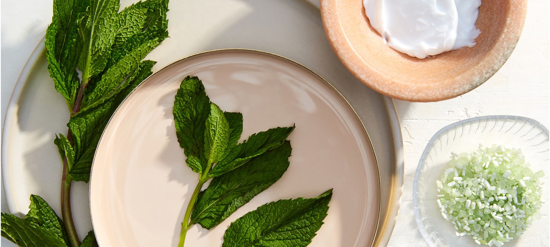 Complete Guide To Popular Skin Care Ingredients