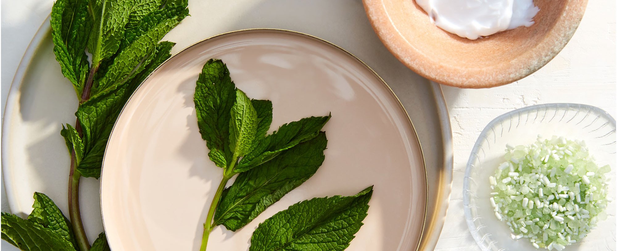 Complete Guide To Popular Skin Care Ingredients