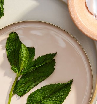 Complete Guide To Popular Skin Care Ingredients