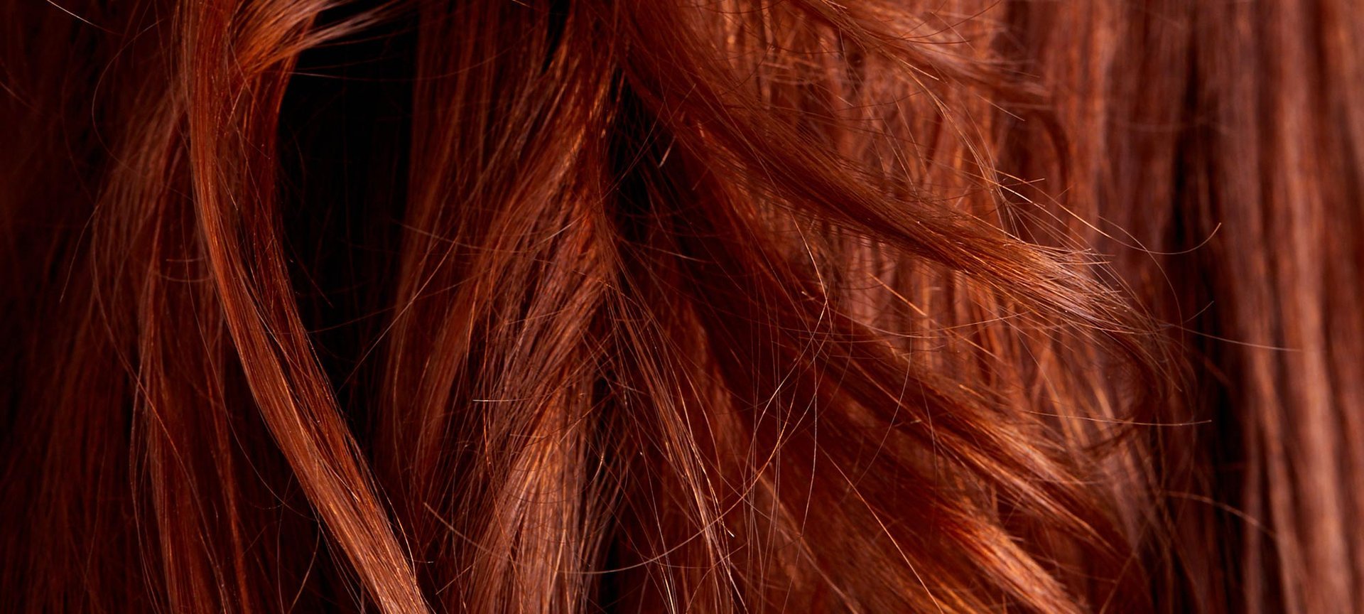 What Is Hair Made Of? - L'Oréal Paris