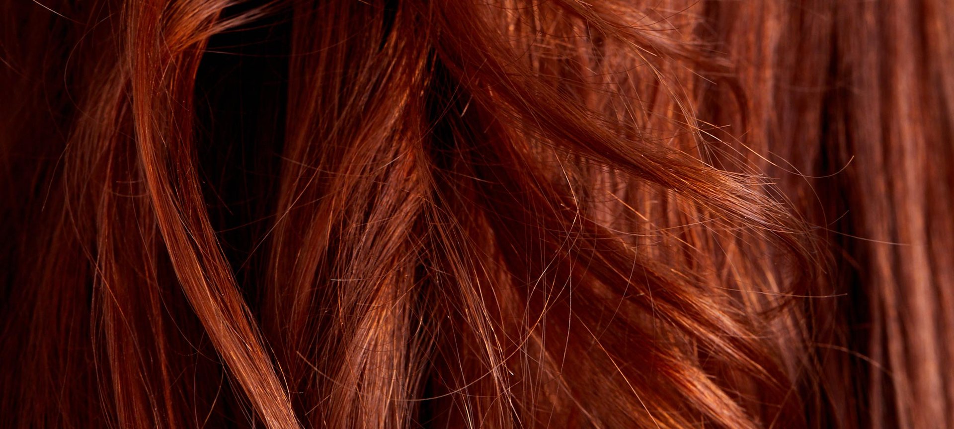 What Is Hair Made Of? L’Oréal Paris