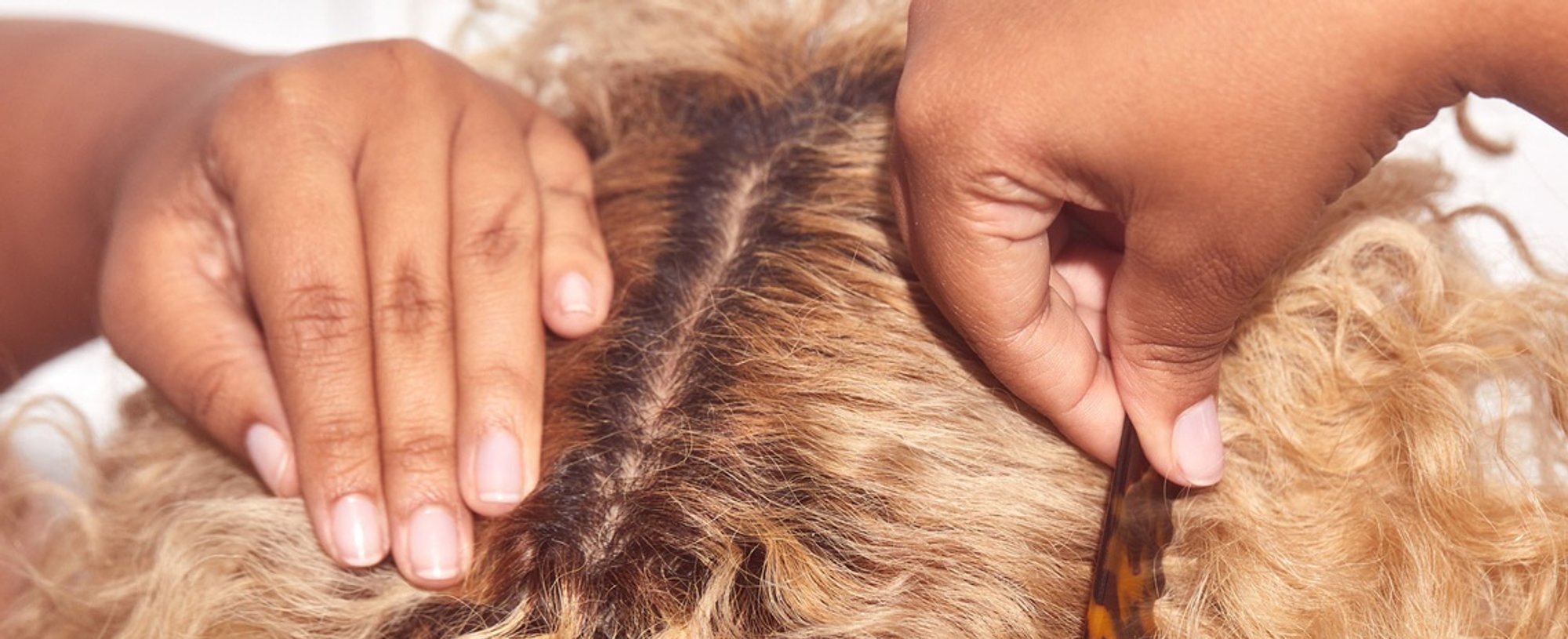 Root Forehead Protector Guide To Covering Roots