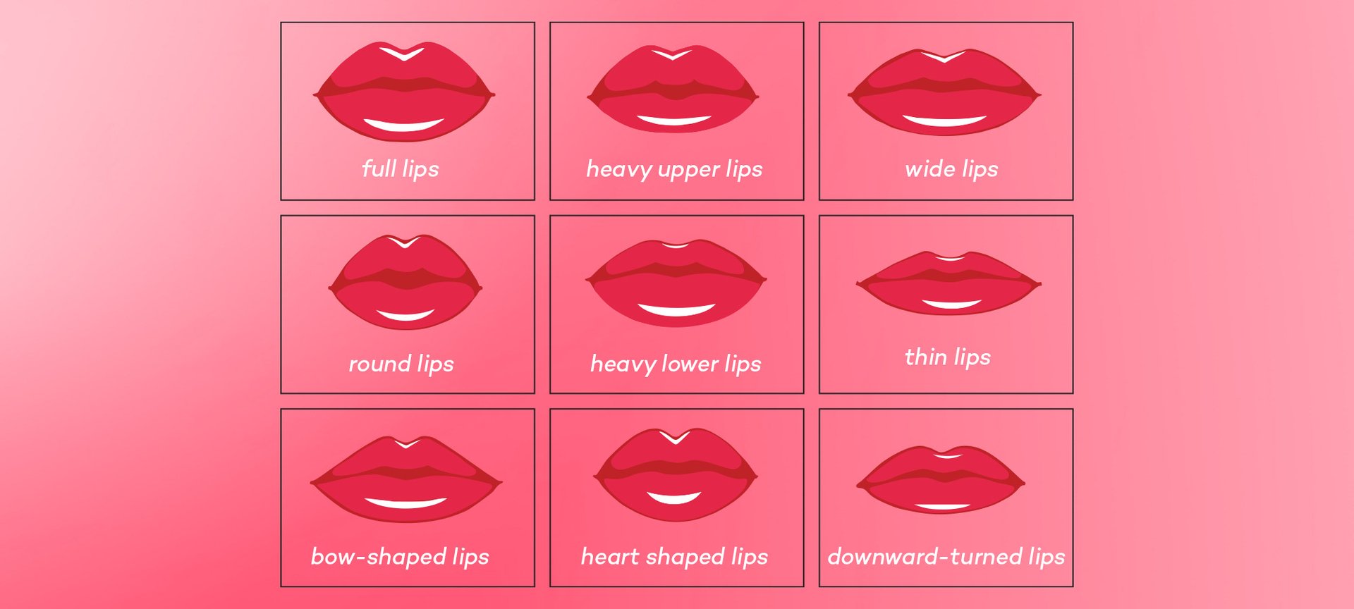 Lip Chart