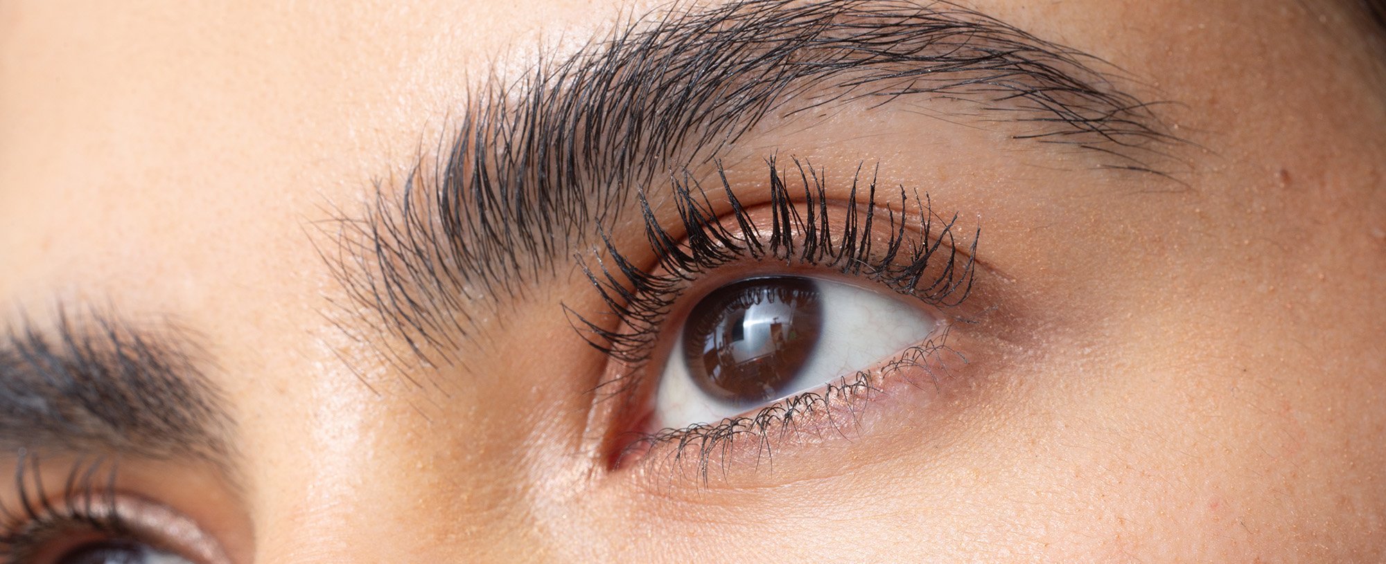 Banner Bushy Eyebrows Grooming Desktop