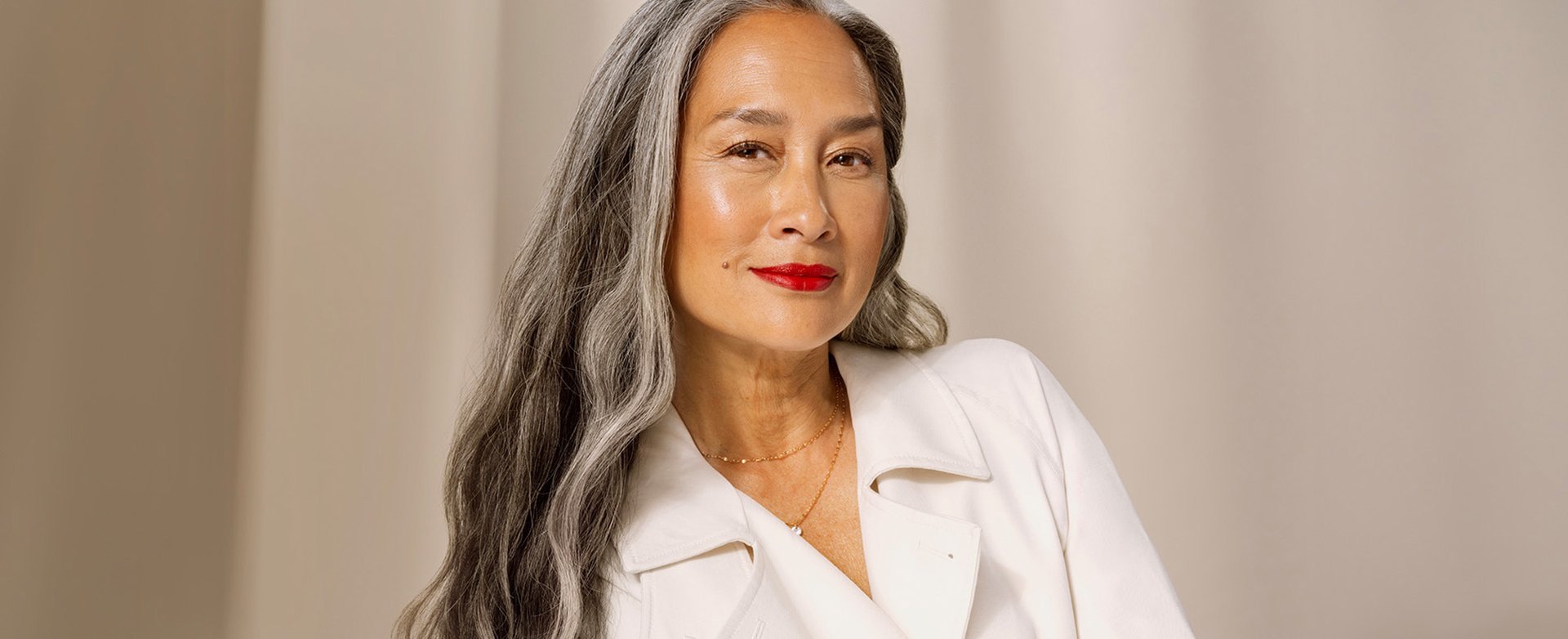 Banner Blending Gray Hair With Highlights And Lowlights Desktop