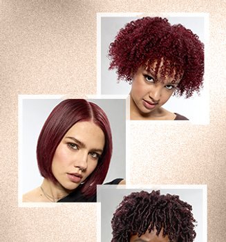 Banner Cool Warm Neutral Shades Of Red Mobile