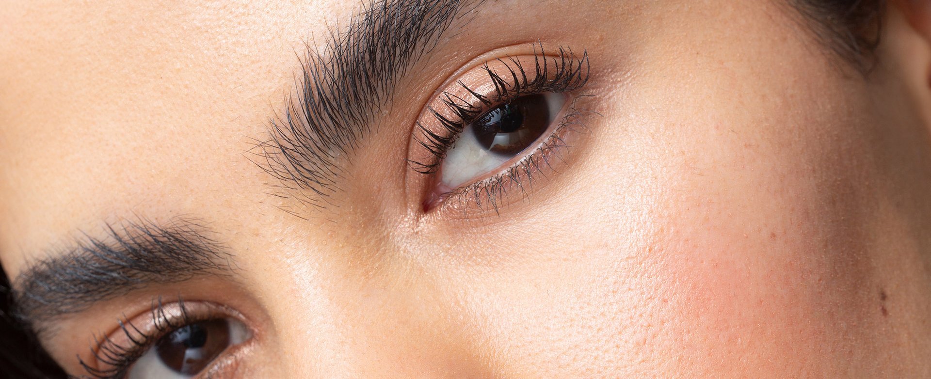 Banner How To Keep Lashes Curled Desktop