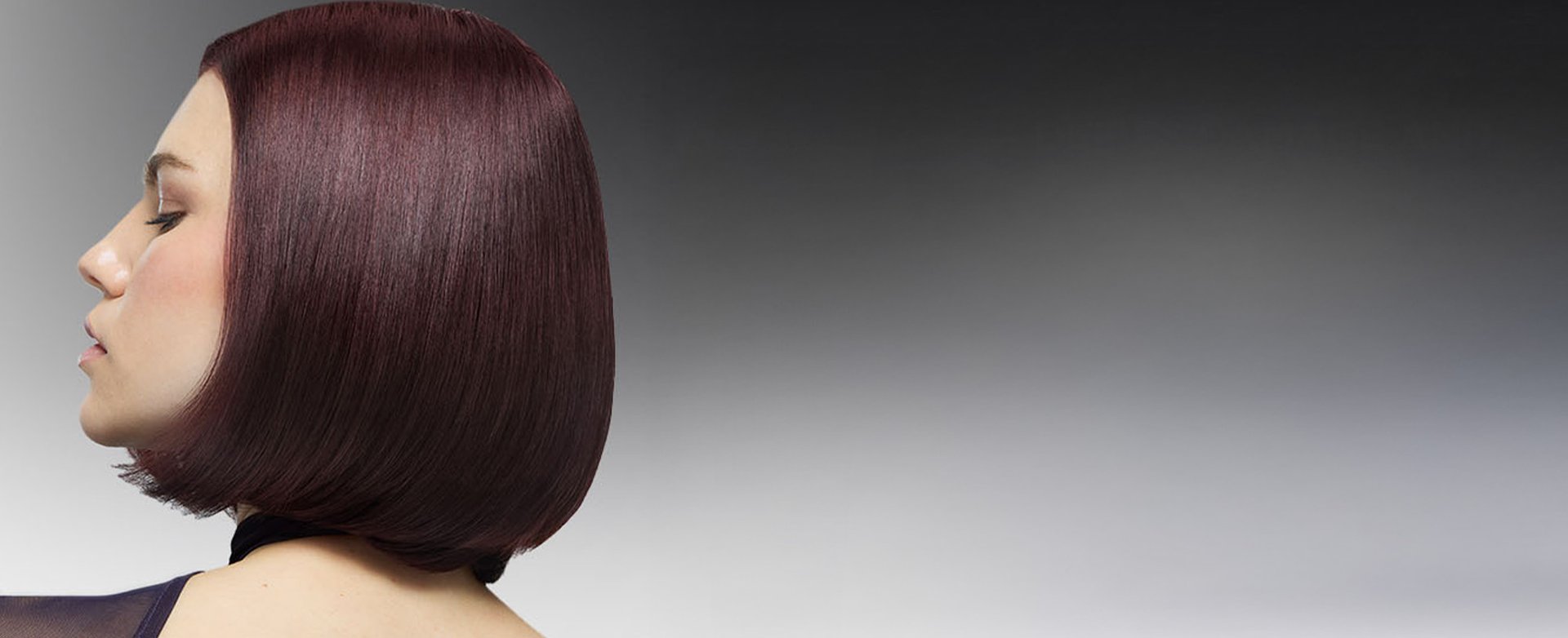 Banner-box-dye-hair-conditioner-desktop