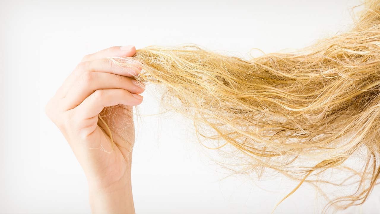 7 Dry, Brittle Hair Care Tips You Need to Know - L’Oréal Paris