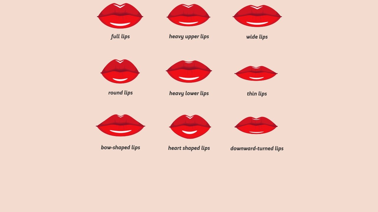 Thick lips lips vs thin Standard vs