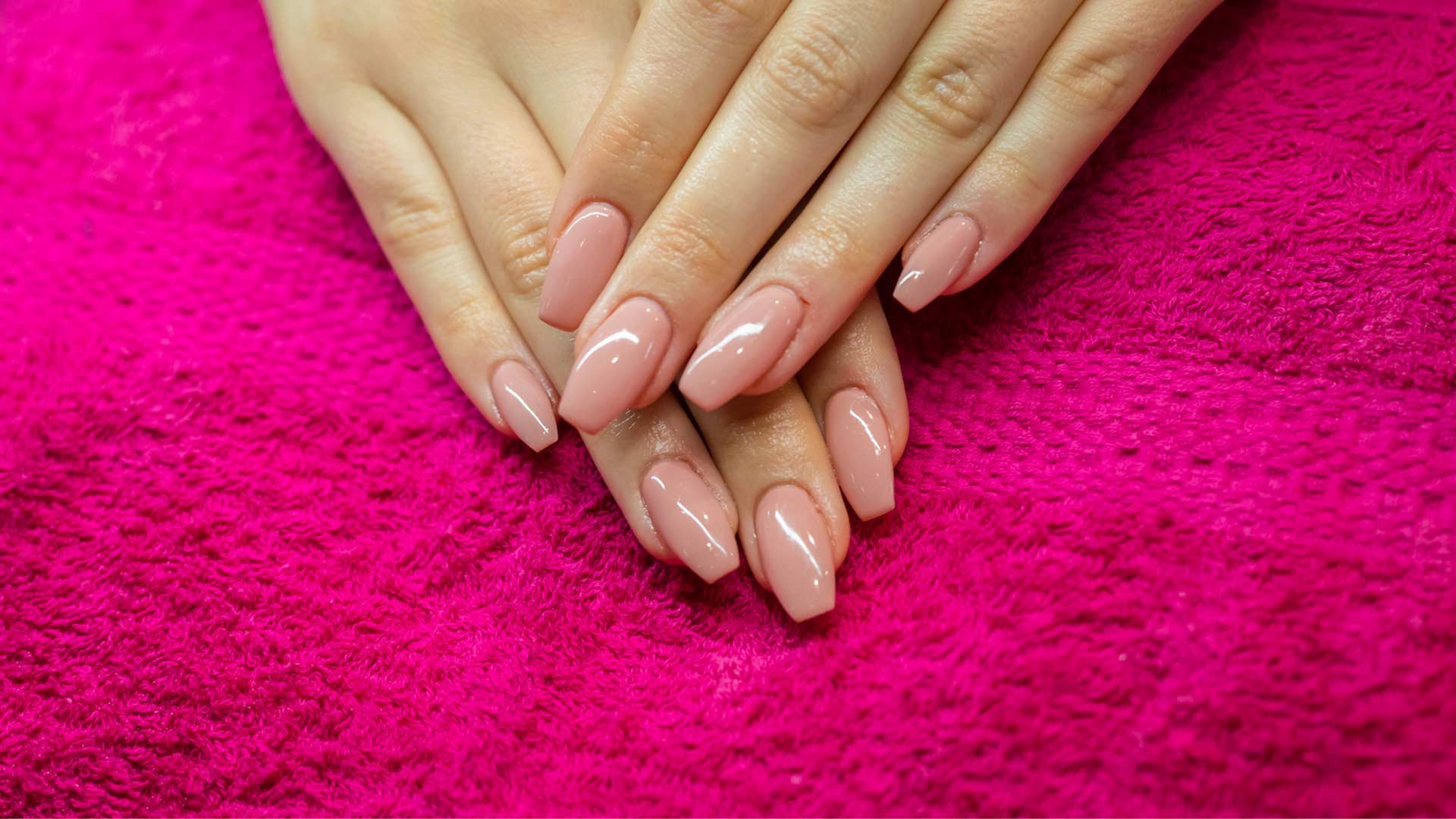PolyGel Nails Everything You Need to Know
