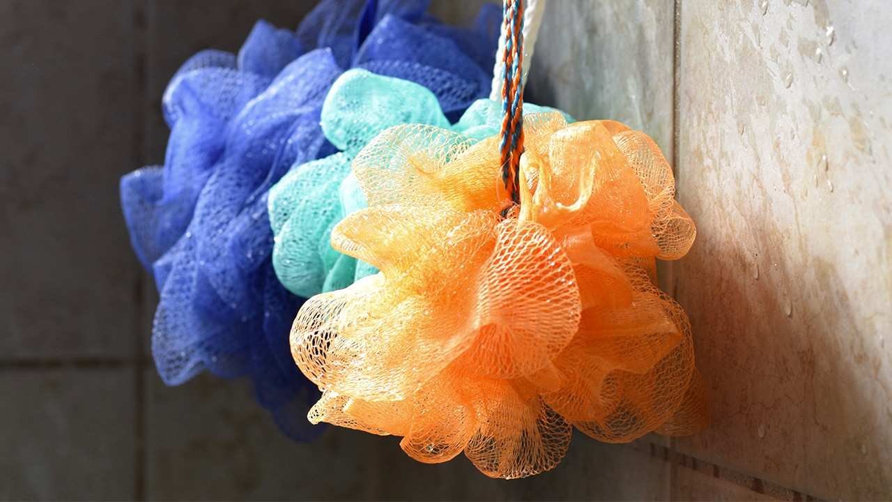 Loreal Paris Article Is Your Shower Loofa Covering You in Bacteria D