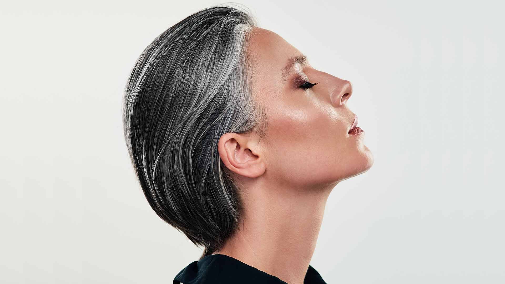 Loreal Paris Article 10 Ideas For Silver And Gray Highlights To Try Now D