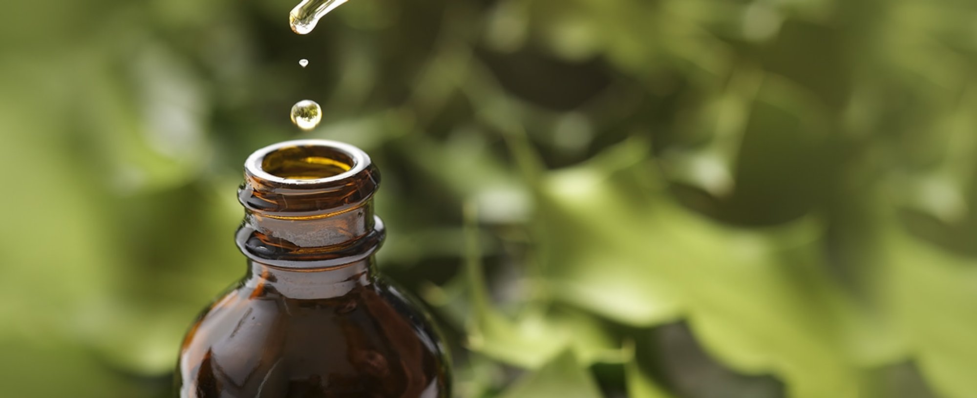 Loreal Paris BMAG Article Tea Tree Oil For Acne Does It Work D