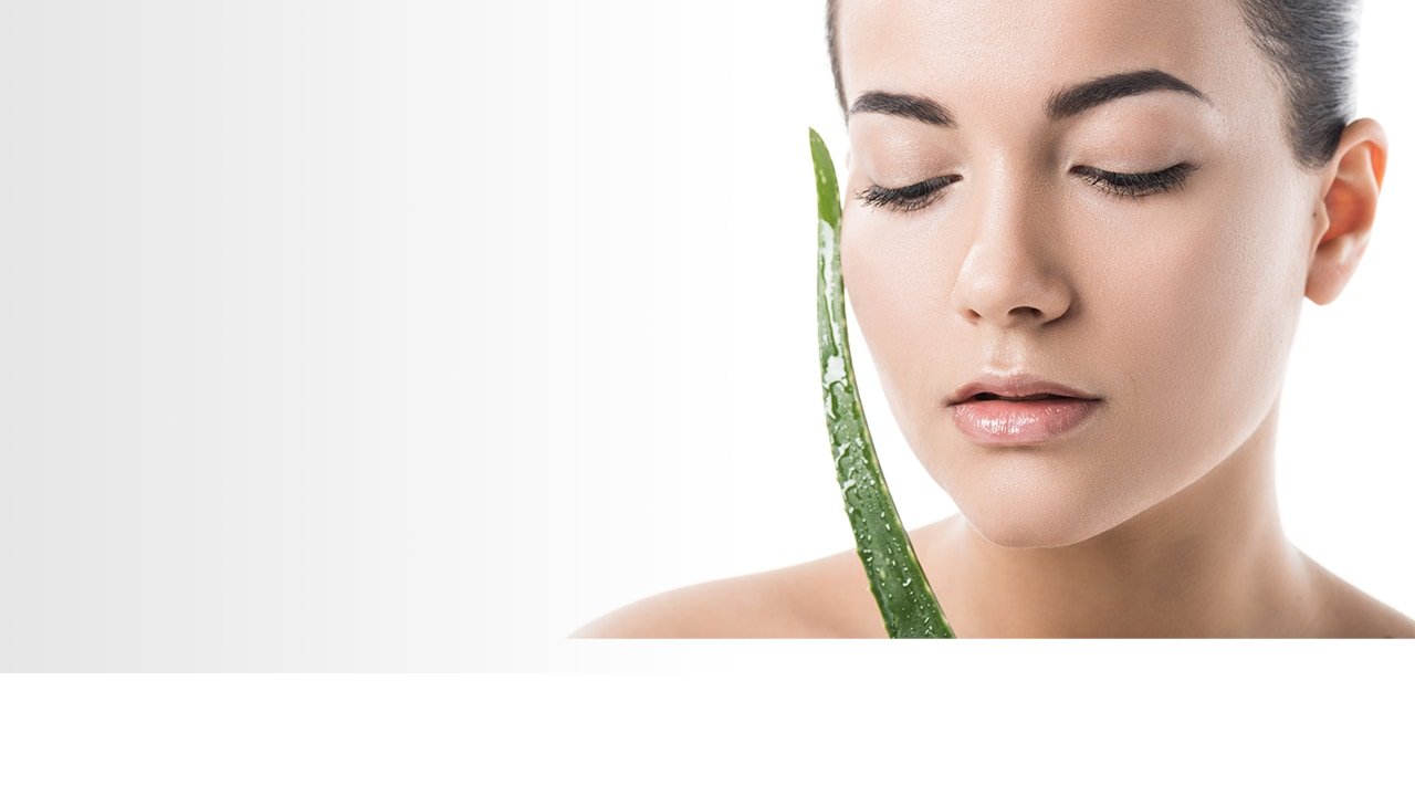 Loreal Paris BMAG Article Is Aloe Vera Good For Your Face D