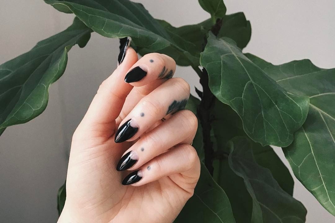 147166356268607908440385184491452914204672n 1adobespark