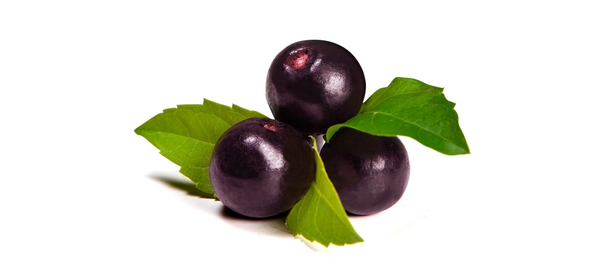 Loreal Paris Makeup Acai Berries 2000x900