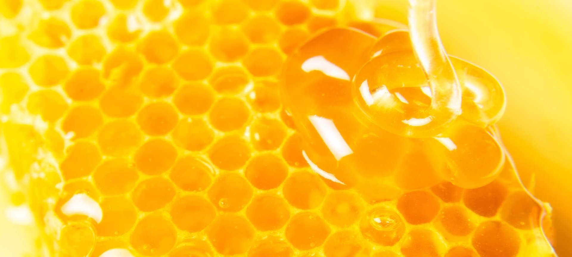 Loreal Paris Makeup Beepollenwax 2000x900