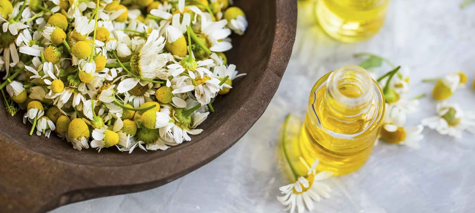 Loreal Paris Makeup Chamomile 2000x900