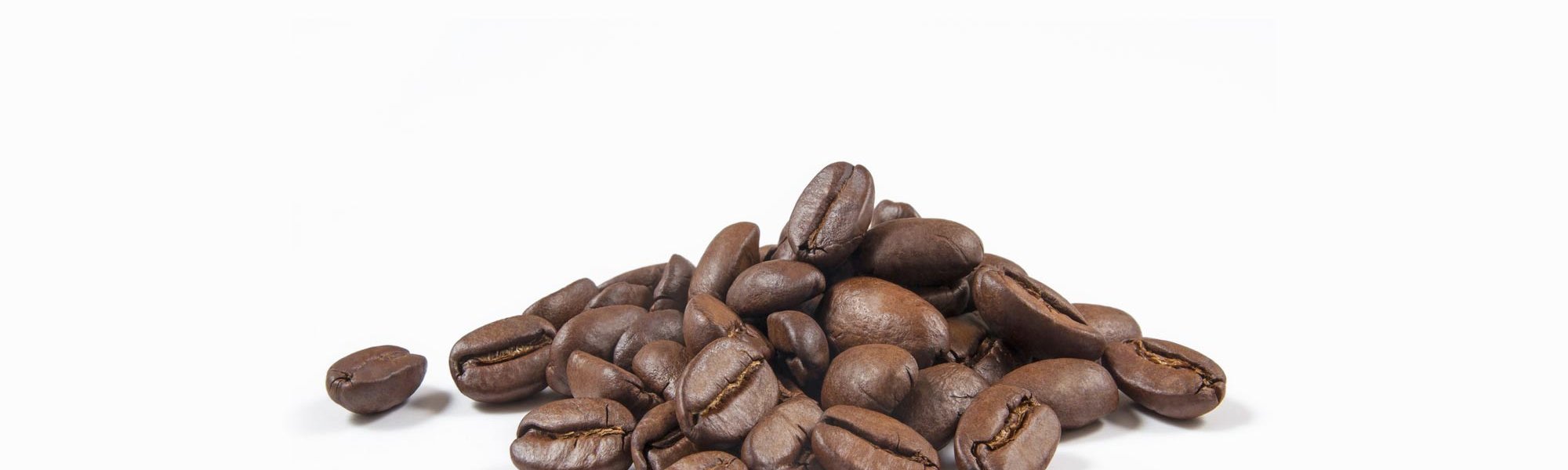 Loreal Paris Makeup Coffee Beans 2000x900