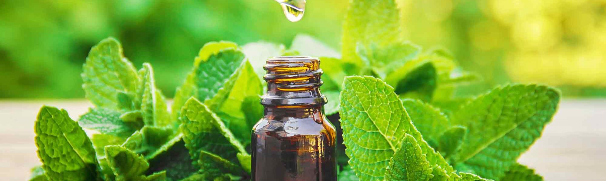 Loreal Paris Makeup Peppermint Oil 2000x900