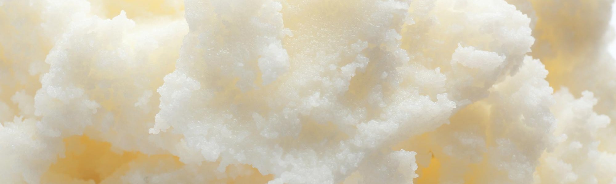 Loreal Paris Makeup Shea Butter 2000x900