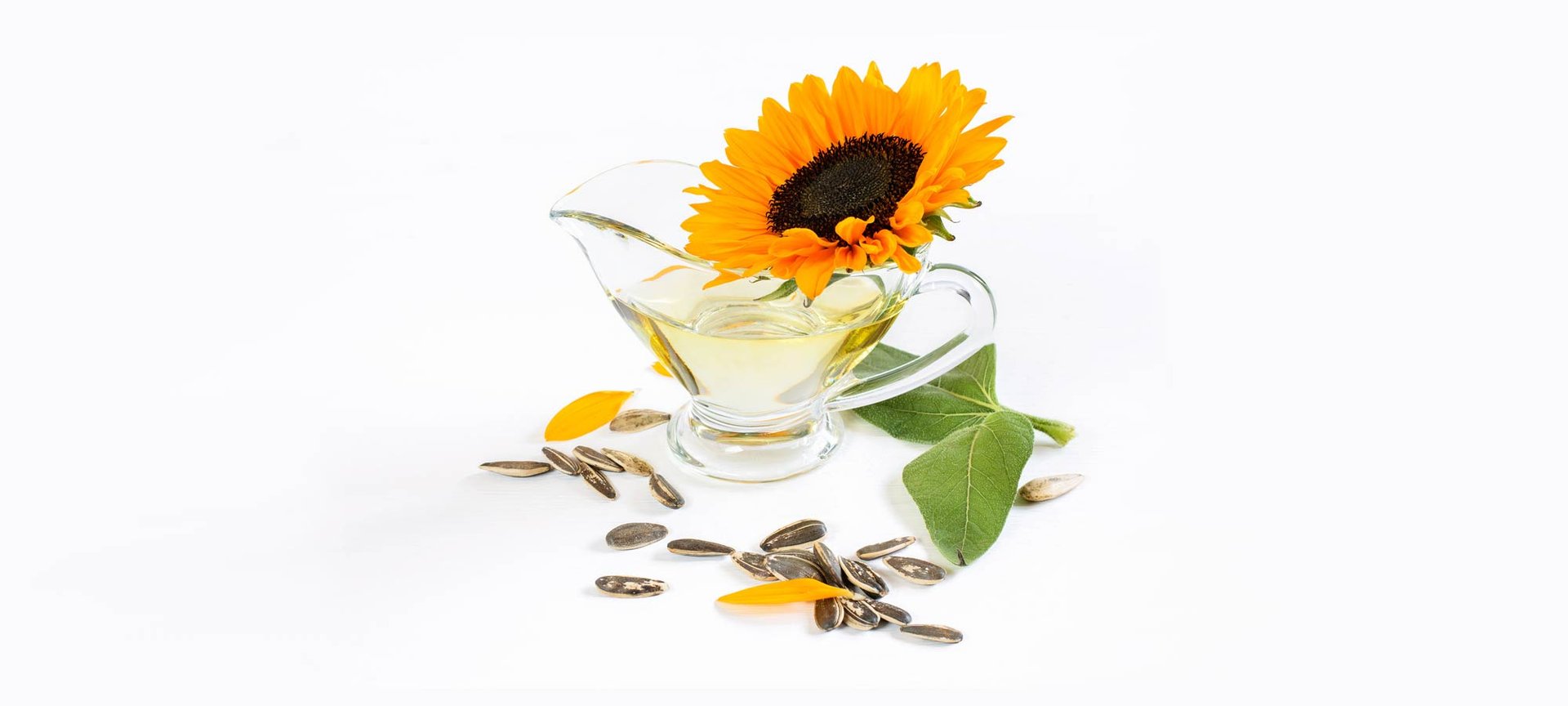 Helianthus Annuus Seed Oil Moisturizing Skin Benefits - L'Oréal Paris
