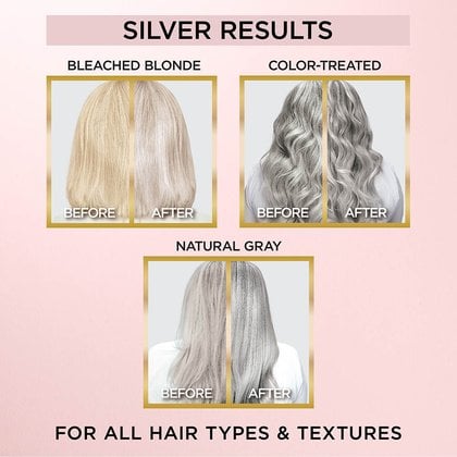 LOreal Haircolor Le Color Gloss Silver Applied 071249629581 AV49