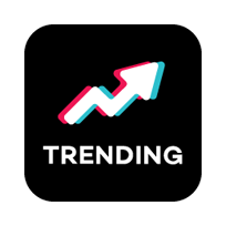 Tiktok Seal Png V3